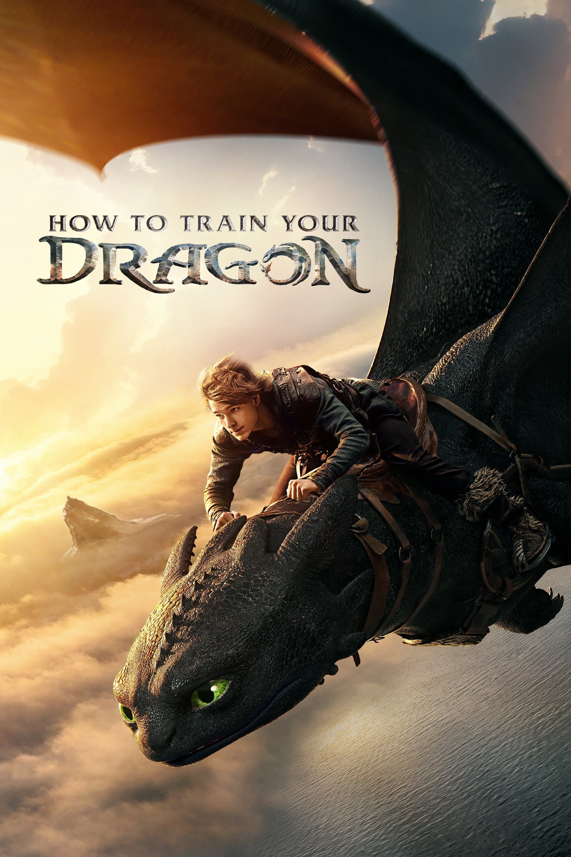 How to Train Your Dragon - Movie Poster